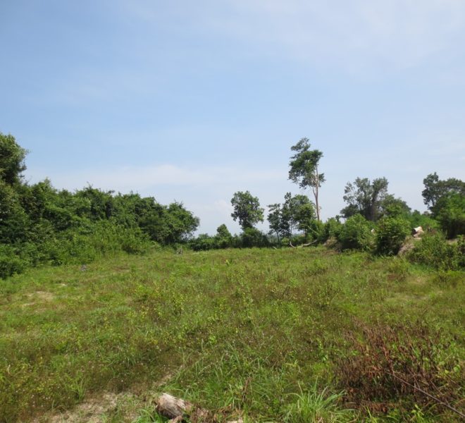 Residential land For Sale (2)