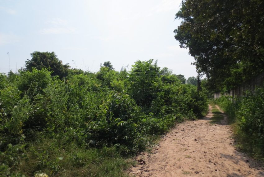 Residential land For Sale (2)