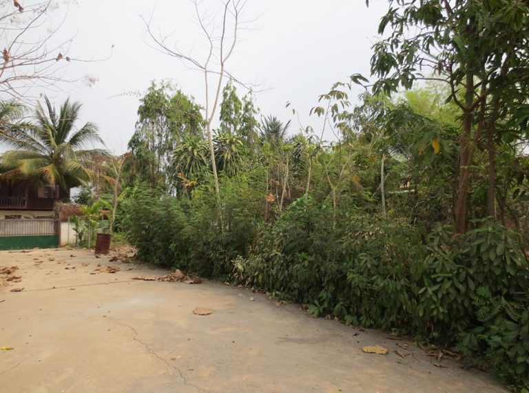 Residential land For Sale (2)