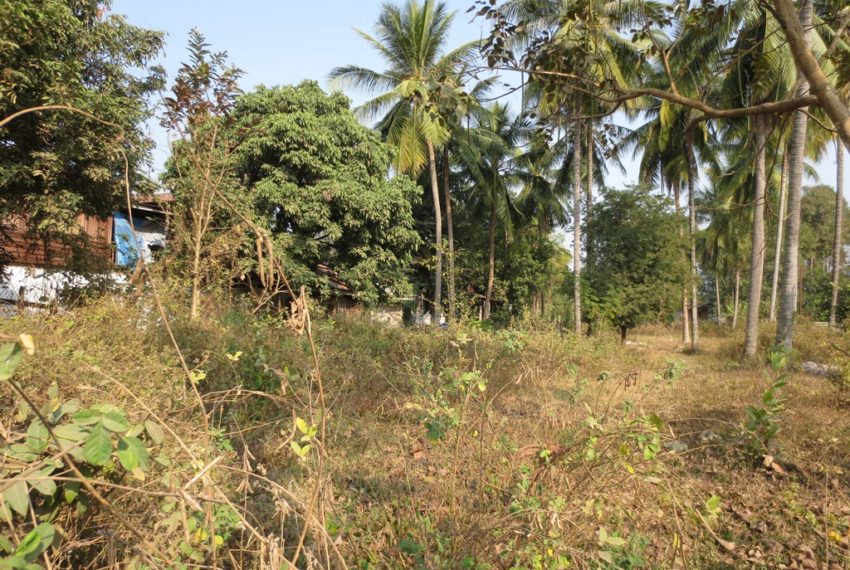 Residential land For Sale (3)