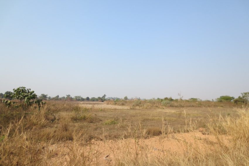 Residential land For Sale (3)