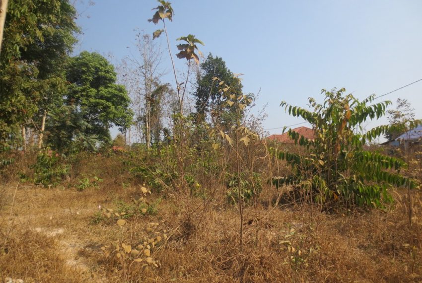 Residential land For Sale (3)