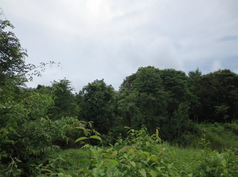 Residential land For Sale (3)