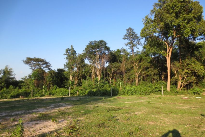 Residential land For Sale (3)