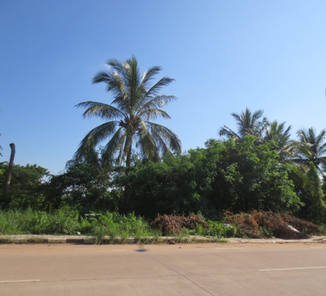 Residential land For Sale (3)