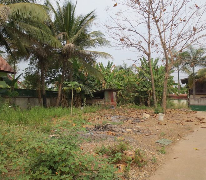 Residential land For Sale (3)