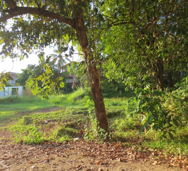 Residential land For Sale (3)