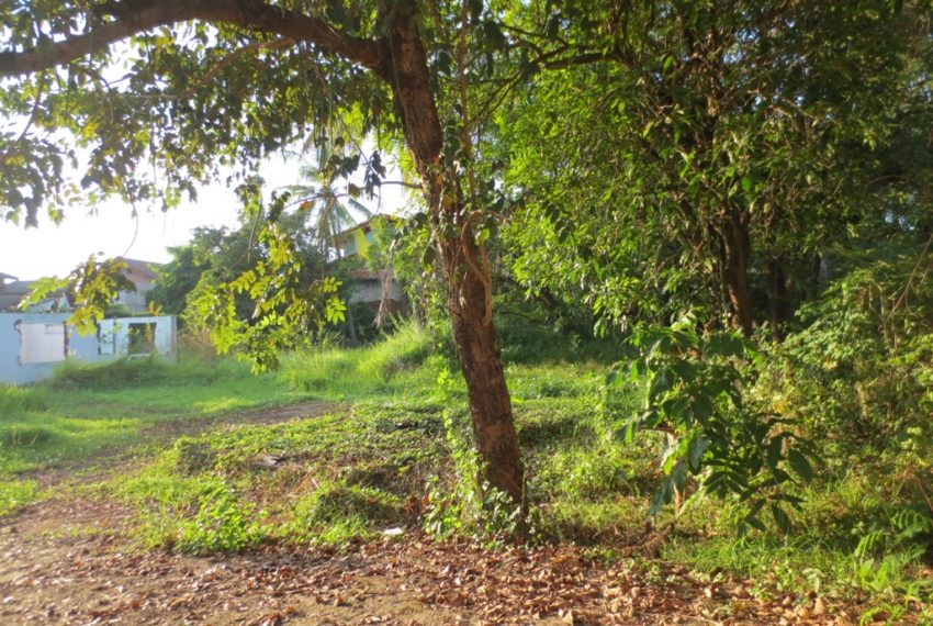 Residential land For Sale (3)