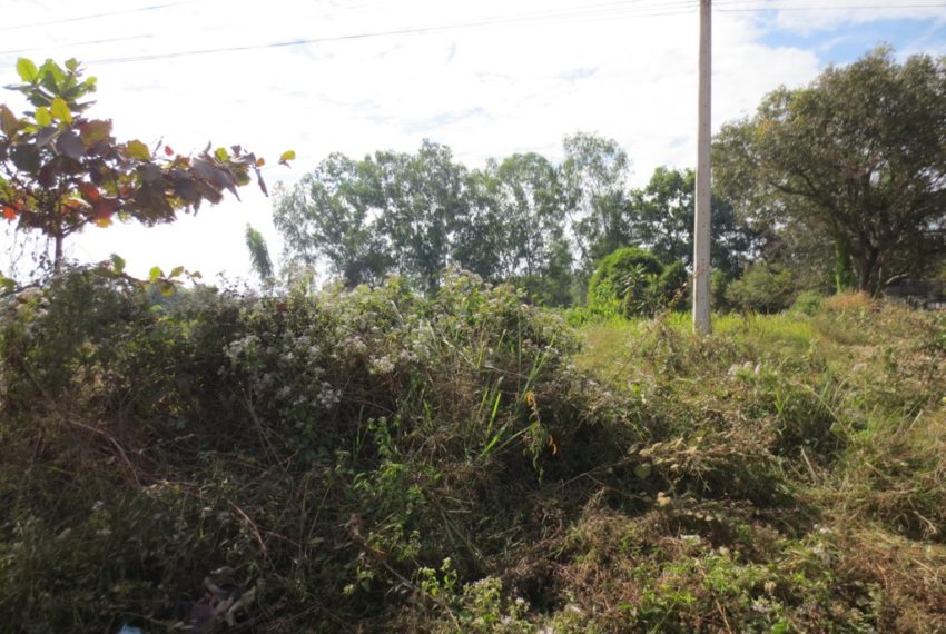 Residential land For Sale (3)