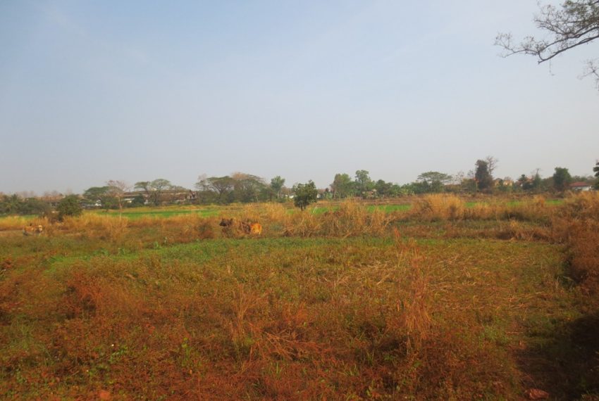 Residential land For Sale (4)