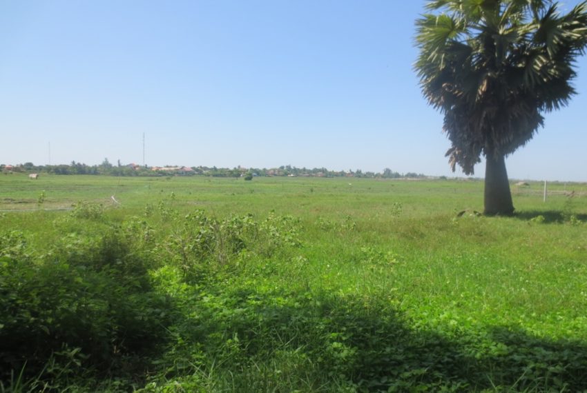 Residential land For Sale (4)