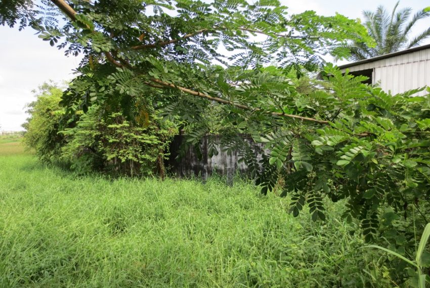 Residential land For Sale (4)