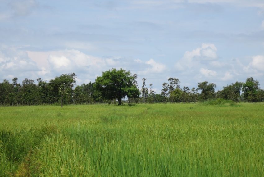 Residential land For Sale (4)