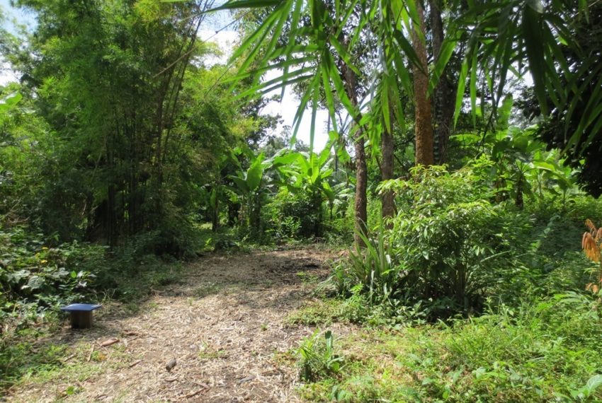 Residential land For Sale (4)