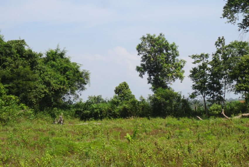 Residential land For Sale (4)