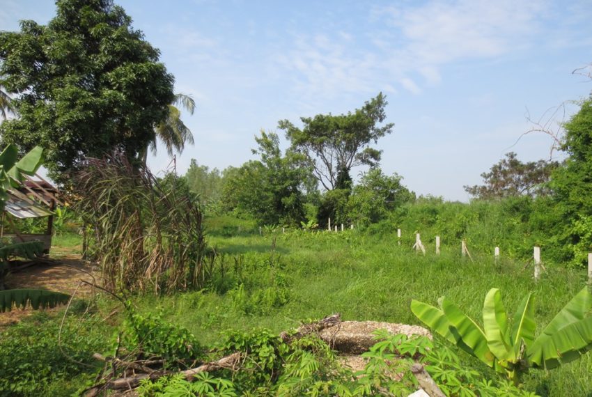 Residential land For Sale (4)