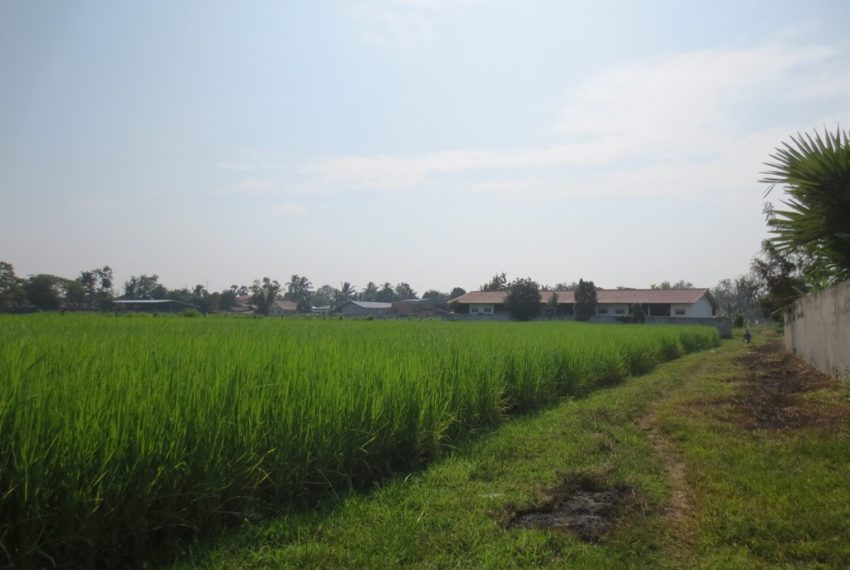 Residential land For Sale (4)