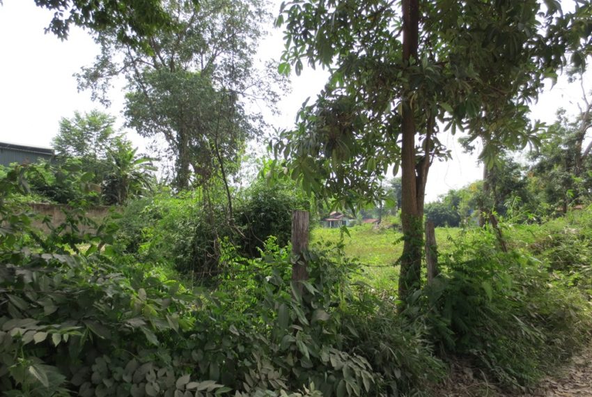 Residential land For Sale (4)