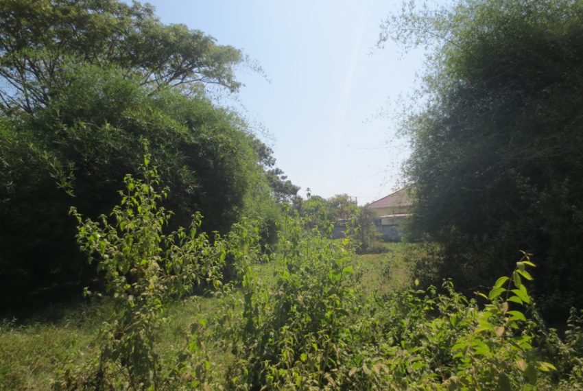 Residential land For Sale (4)