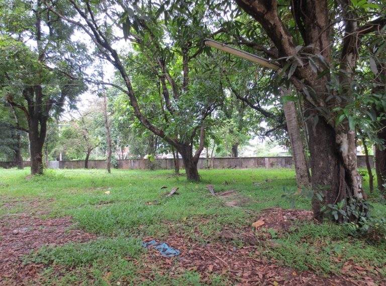 Residential land For Sale (5)