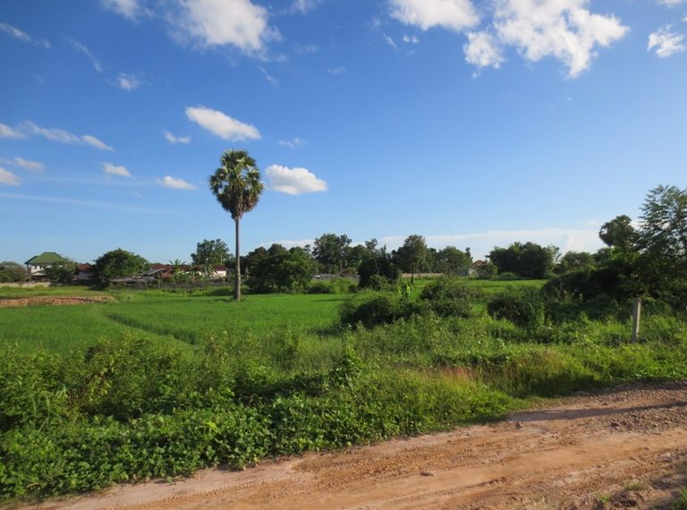 Residential land For Sale (5)