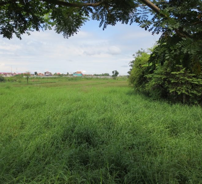 Residential land For Sale (5)