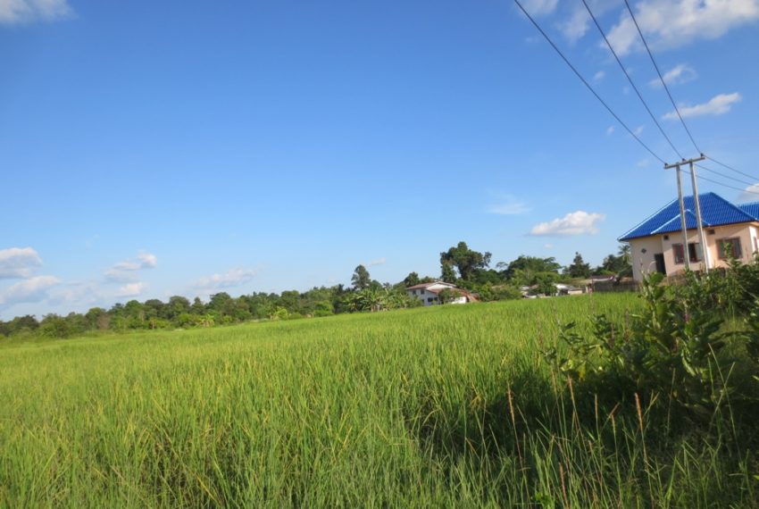 Residential land For Sale (5)