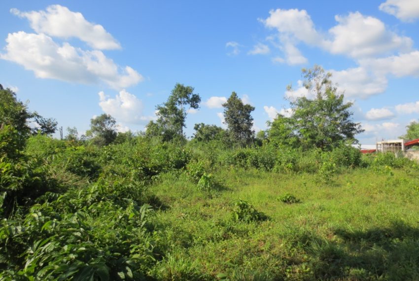 Residential land For Sale (5)