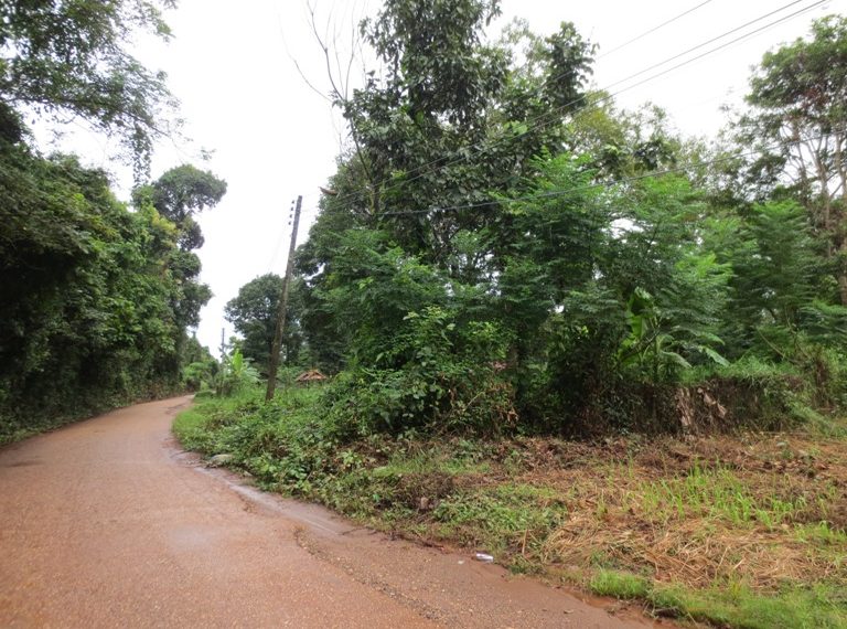 Residential land For Sale (5)