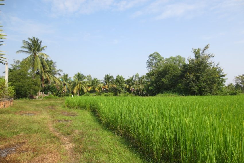 Residential land For Sale (5)