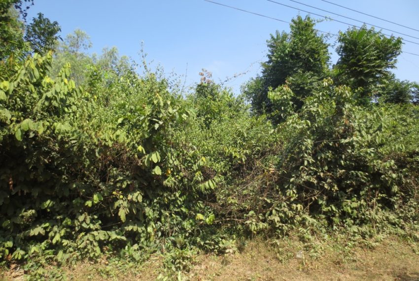 Residential land For Sale (5)