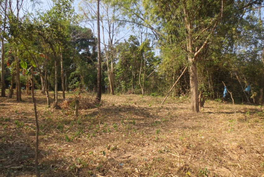 Residential land For Sale (5)