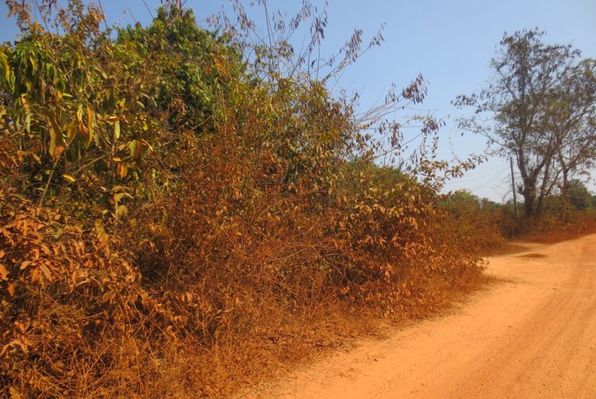 Residential land For Sale (5)