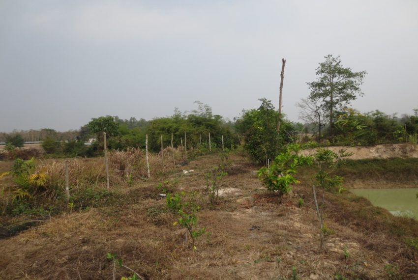 Residential land For Sale (6)