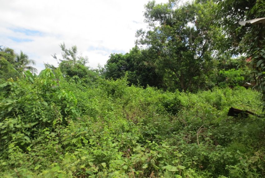 Residential land For Sale (6)