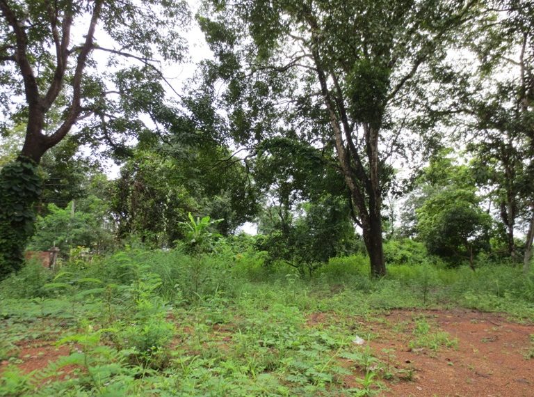 Residential land For Sale (6)