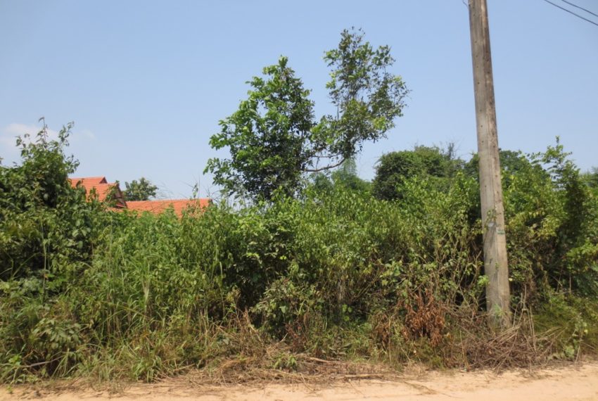 Residential land For Sale (6)