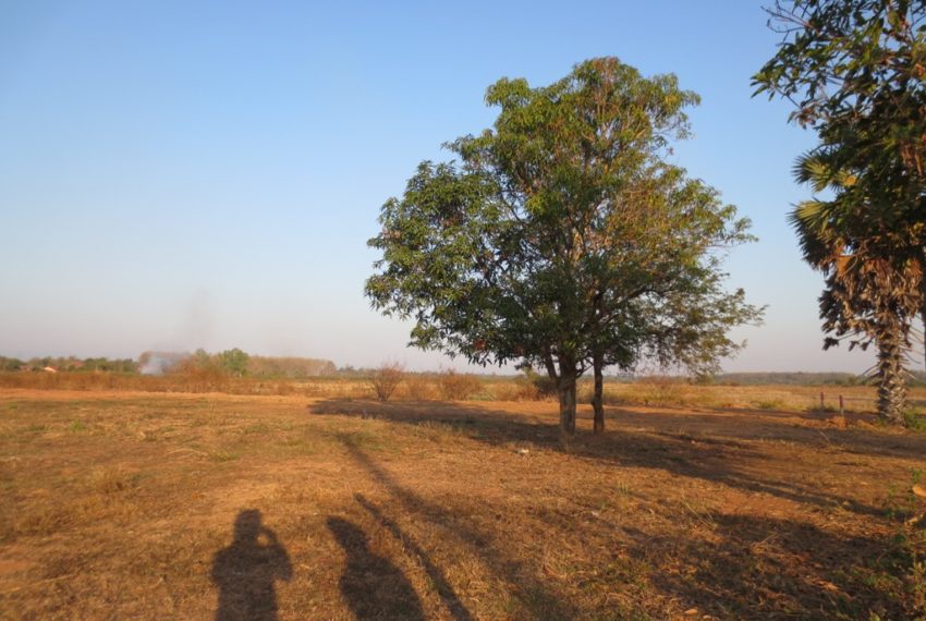 Residential land For Sale (6)