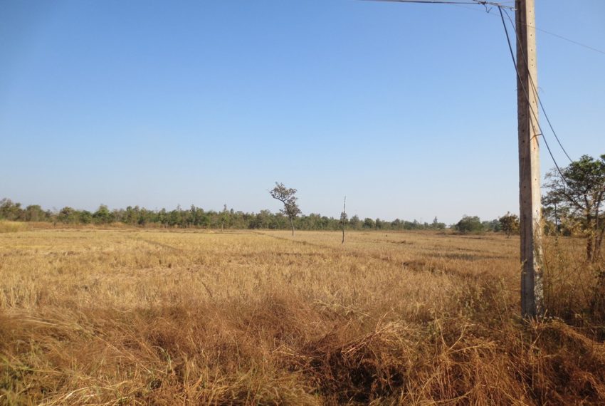 Residential land For Sale (6)