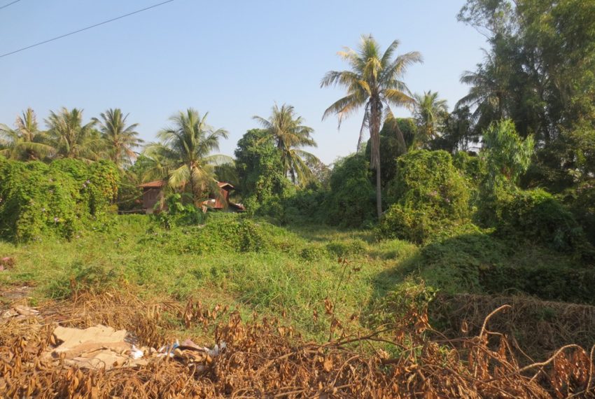 Residential land For Sale (6)