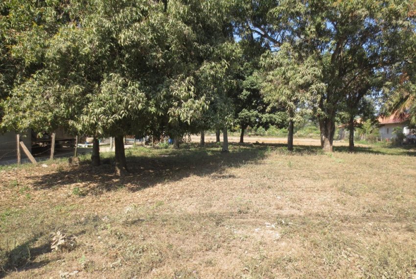 Residential land For Sale (6)
