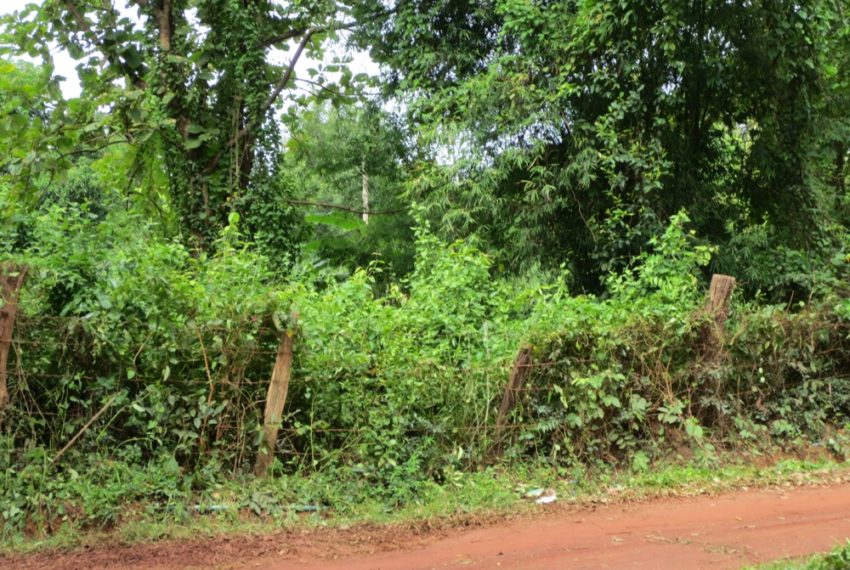 Residential land For Sale (7)