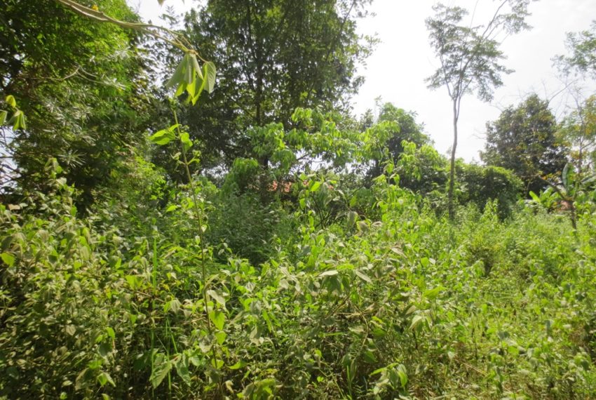 Residential land For Sale (7)
