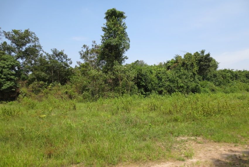 Residential land For Sale (7)