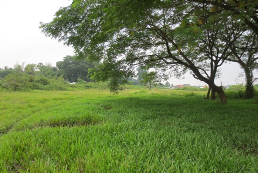 Residential land For Sale (7)