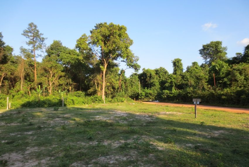 Residential land For Sale (8)