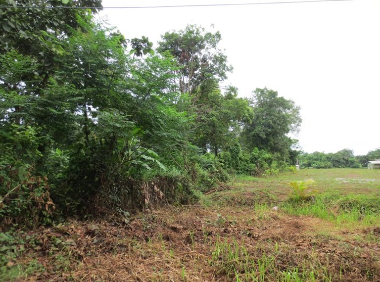 Residential land For Sale (8)