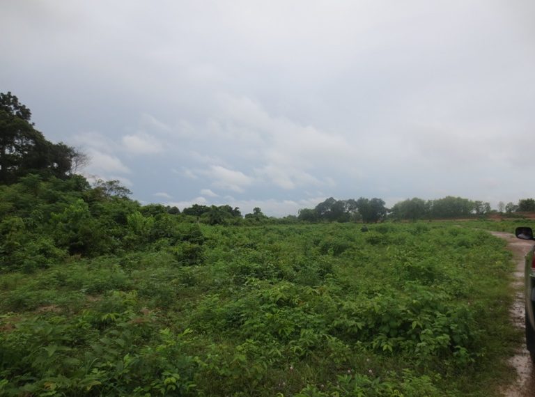 Residential land For Sale (9)