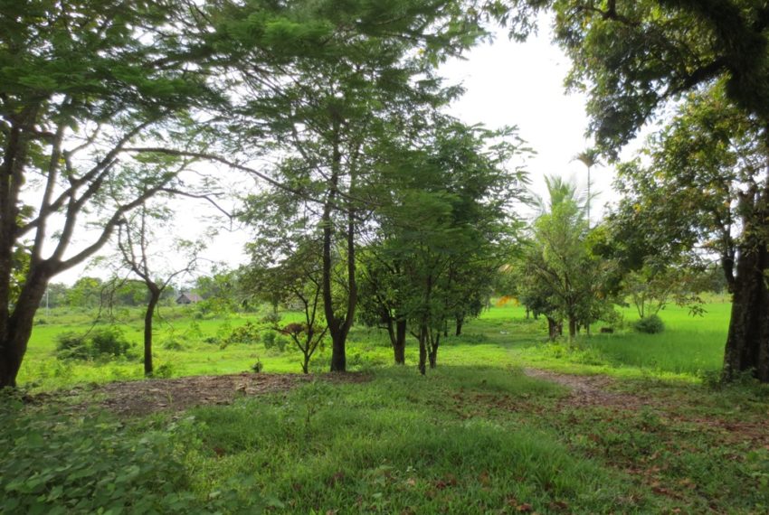 Residential land For Sale (9)