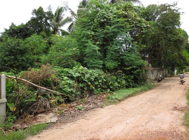 Small plot of land for sale (2)